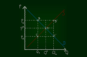 מבוא למיקרו כלכלה